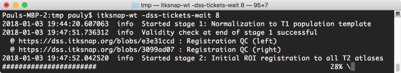 Output of -dss-tickets-wait