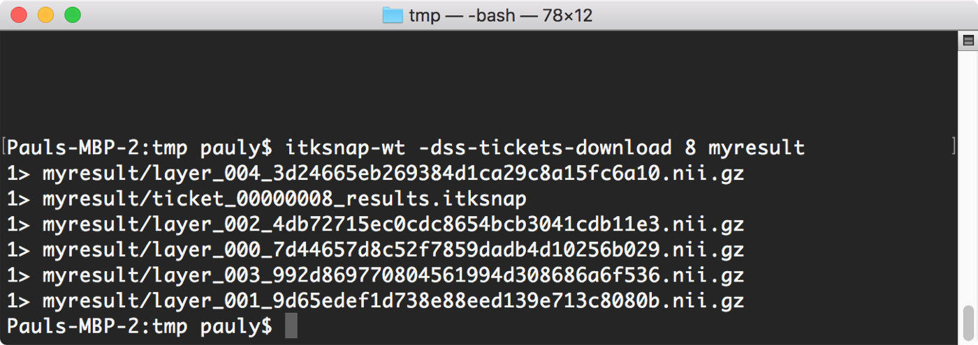 Output of the download command